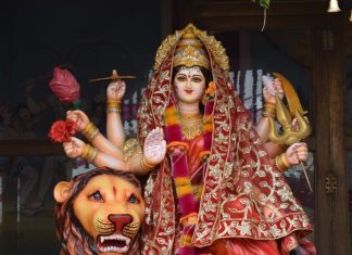 नवरात्रि के व्रत में भूलकर भी न खाएं लहसुन-प्याज, जानें न खाने के पीछे की वजह