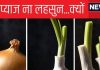 Explainer: ना लहसुन ना प्याज…क्यों नवरात्र में नहीं खाते इन्हें, मानते हैं कामोत्तेजक, साइंस कहती है खूब खाओ