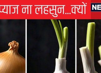Explainer: ना लहसुन ना प्याज…क्यों नवरात्र में नहीं खाते इन्हें, मानते हैं कामोत्तेजक, साइंस कहती है खूब खाओ