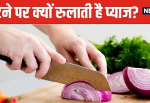प्याज काटने पर आंखों से क्यों निकलने लगते हैं आंसू? क्या है इसकी वजह, आसान भाषा में समझें