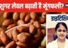 क्या डायबिटीज के मरीज खा सकते हैं मूंगफली? शुगर लेवल पर कैसे होता है असर, जानें एक्सपर्ट की राय