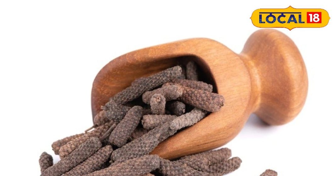 गंदे कफ को बाहर निकाल फेंकेगी ये छोटी चीज, खांसी-उल्टी में फायदेमंद! जानें और भी फायदे