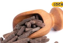 गंदे कफ को बाहर निकाल फेंकेगी ये छोटी चीज, खांसी-उल्टी में फायदेमंद! जानें और भी फायदे