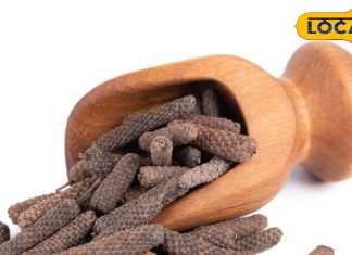 गंदे कफ को बाहर निकाल फेंकेगी ये छोटी चीज, खांसी-उल्टी में फायदेमंद! जानें और भी फायदे