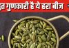 ब्लड प्रेशर या शुगर होने का रहता है डर? डाइट में शामिल कर लें ये हरा बीज, बेहतरीन फायदे जानकर मन हो जाएगा खुश