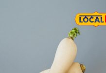 मूली के साथ भूलकर भी न करें इन चार चीजों का सेवन, नहीं तो शरीर में बनने लगेगा ‘जहर’