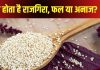 व्रत में मज़े से खाते हैं राजगीरा का आटा, ये फल है या अनाज? क्यों कहा जाता है इसे सुपरफूड?