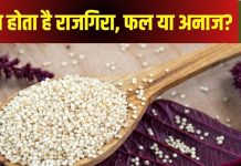 व्रत में मज़े से खाते हैं राजगीरा का आटा, ये फल है या अनाज? क्यों कहा जाता है इसे सुपरफूड?