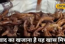 लाल-काली नहीं, इस मिर्च से दोगुना हो जाता है खाने का स्वाद, नवाब खानदान के शेफ भी करते थे इस्तेमाल