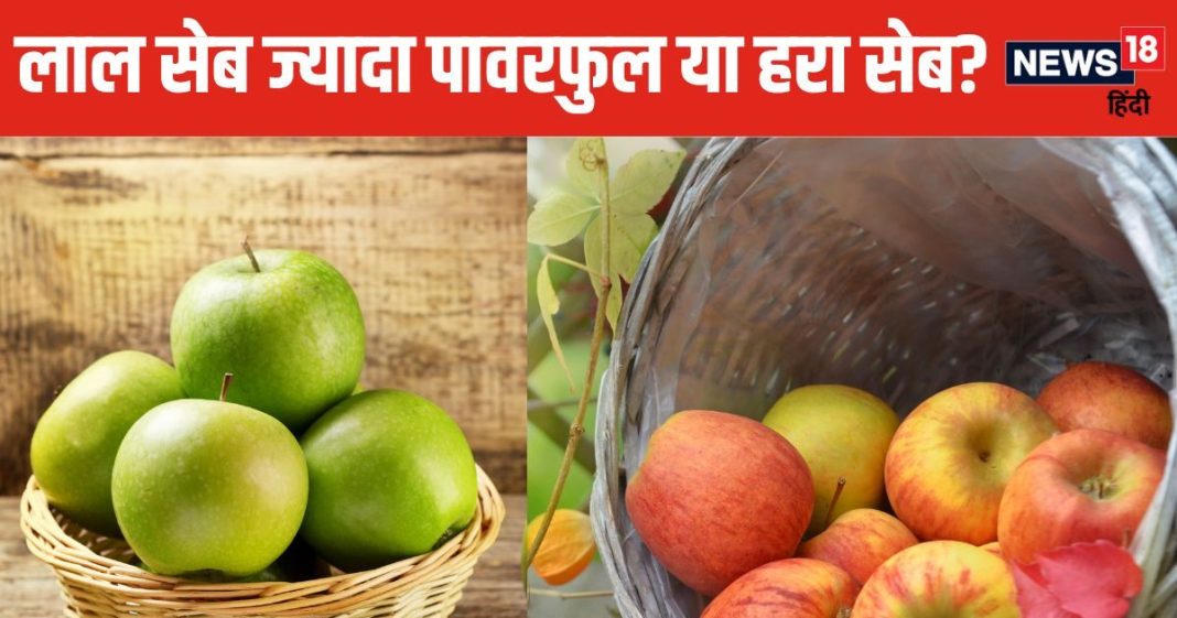 हरा सेब सेहत के लिए ज्यादा फायदेमंद या लाल सेब? अगर जान लेंगे हकीकत, तो बाजार से भर लाएंगे थैला