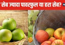 हरा सेब सेहत के लिए ज्यादा फायदेमंद या लाल सेब? अगर जान लेंगे हकीकत, तो बाजार से भर लाएंगे थैला