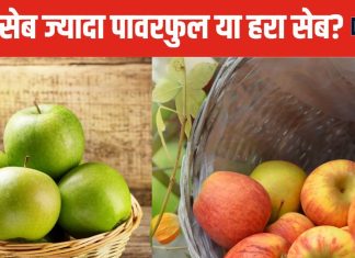हरा सेब सेहत के लिए ज्यादा फायदेमंद या लाल सेब? अगर जान लेंगे हकीकत, तो बाजार से भर लाएंगे थैला