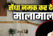 Money Vastu Tips: बाथरूम में रखें यह एक चीज, घर से वास्तु दोष होगा दूर, धन का संकट भी हो जाएगा खत्म!