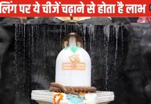 Lord Shiva Puja: सोमवार के दिन शिवलिंग पर चढ़ाएं ये खास चीज, शत्रुओं का होगा नाश, कर्ज से मिल सकती मुक्ति!