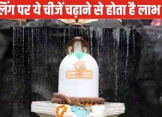 Lord Shiva Puja: सोमवार के दिन शिवलिंग पर चढ़ाएं ये खास चीज, शत्रुओं का होगा नाश, कर्ज से मिल सकती मुक्ति!