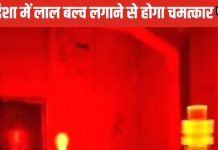 Vastu Tips: इस दिशा में लगाएं लाल बल्ब, होगा आर्थिक लाभ, जानें अच्छे भाग्य के लिए किस जगह और कब घर में जलाएं बल्ब