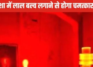 Vastu Tips: इस दिशा में लगाएं लाल बल्ब, होगा आर्थिक लाभ, जानें अच्छे भाग्य के लिए किस जगह और कब घर में जलाएं बल्ब