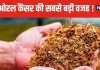 तंबाकू-खैनी और पान मसाला सबसे ज्यादा जानलेवा ! ये ओरल कैंसर की ‘जड़’, नई रिसर्च में बड़ा खुलासा