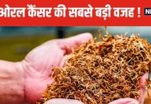 तंबाकू-खैनी और पान मसाला सबसे ज्यादा जानलेवा ! ये ओरल कैंसर की ‘जड़’, नई रिसर्च में बड़ा खुलासा