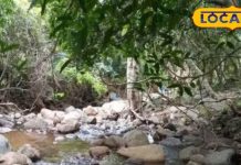 ट्रेकिंग के लिए तमिलनाडु सरकार ने लिया नया फैसला, 14 जिलों में शुरू होगी ये योजना