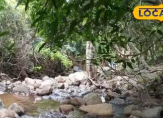 ट्रेकिंग के लिए तमिलनाडु सरकार ने लिया नया फैसला, 14 जिलों में शुरू होगी ये योजना