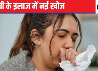 कमाल, भारतीय वैज्ञानिकों ने टीवी को जड़ से खत्म करने का निकाल लिया तोड़, अब सीधे दिमाग में जाएगी दवा