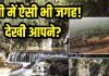 यूपी की ये जगह केरल से कम नहीं, दिखने में लगेगा जन्नत, यहां जानें लोकेशन