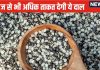 शरीर को नॉनवेज से भी अधिक ताकत देती है ये दाल, रेगुलर खाने से पाचन तंत्र हो मजबूत, वजन घटाए, ब्लड शुगर भी रखे कंट्रोल