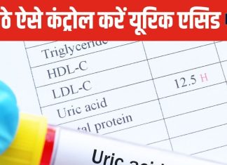 नॉर्मल से ज्यादा हो गया है यूरिक एसिड? टेंशन लेने के बजाय करें ये 5 काम, डाउन होने लगेगा मीटर !