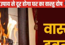 Vastu Remedies For Home: सिर्फ एक उपाय से घर में नहीं होगा वास्तु दोष, समस्याएं होंगी दूर, जानिए वास्तु एक्सपर्ट से