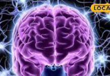 Health Tips: शरीर के बेहद उपयोगी है यह विटामिन, इसकी कमी से नर्वस सिस्टम हो जाता है खराब, जानिए लक्षण