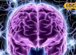 Health Tips: शरीर के बेहद उपयोगी है यह विटामिन, इसकी कमी से नर्वस सिस्टम हो जाता है खराब, जानिए लक्षण