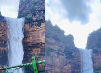 बिहार के इस खूबसूरत वॉटरफॉल के सामने केरल जैसी जगह भी फेल, घूमने जाएं तो कभी न करें मिस, जानें लोकेशन