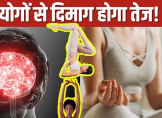 10 योगासन, जो आपके ब्रेन को बनाता है शार्प, बुढ़ापा के असर को भी रखता है दूर, आज से कर लें लाइफस्टाइल में शामिल