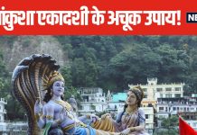 आज मनाई जा रही पापांकुशा एकादशी, मनोकामना पूर्ति के लिए अपनाएं 3 उपाय, ऐसे प्रसन्न करें भगवान विष्णु को