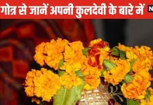 इस दिवाली करें अपनी कुलदेवी की पूजा, सभी समस्याओं का होगा अंत, जानें आपके गोत्र की कुलदेवी कौन हैं?