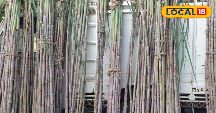 इस फल के बिना अधूरी है मां लक्ष्मी की पूजा!