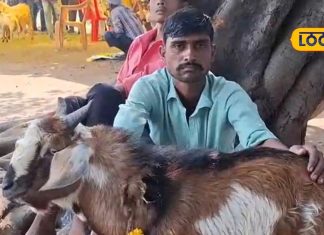 एक अनोखा मंदिर, जहां नवरात्रि के दौरान दी जाती है हजारों बकरी की बलि, खुद प्रकट हुई थी पिंडी