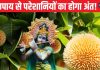 किसी के टोके बिना कर लें इस फूल का उपाय, अधूरे पड़े कामों में आ जाएगी तेजी, धन-लाभ के भी बन सकते हैं योग