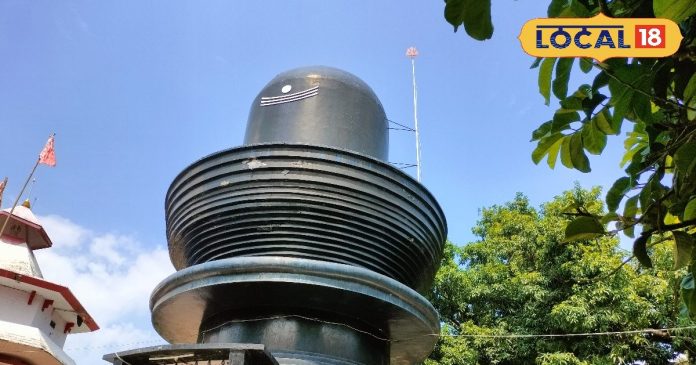 गिरिडीह का हरिहर धाम: 65 फीट ऊंचे शिवलिंग वाला अद्भुत