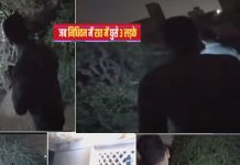 जब रात के सन्नाटे में निधिवन पहुंचे 3 युवक, मोबाइल से बनाए वीडियो, फिर जो हुआ, कोई सोच नहीं सकता – When Youtuber Gaurav sharma went nidhivan at night with 2 friends heard sound of Ghungroos here is what happened next unbelievably