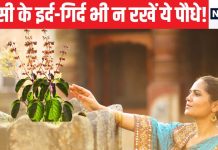 तुलसी के पास तो छोड़ो इर्द-गिर्द भी न रखें ये पौधे, घर से चली जाएगी सुख-शांति, मुसीबतों का भी लग सकता अंबार