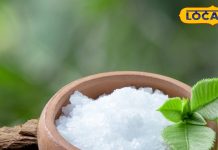 दिवाली के दिन खरीद लें ये तीन चीजें, मां लक्ष्मी की बरसेगी कृपा, धन-दौलत के भर जाएंगे भंडार! जानें महत्व