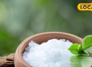 दिवाली के दिन खरीद लें ये तीन चीजें, मां लक्ष्मी की बरसेगी कृपा, धन-दौलत के भर जाएंगे भंडार! जानें महत्व