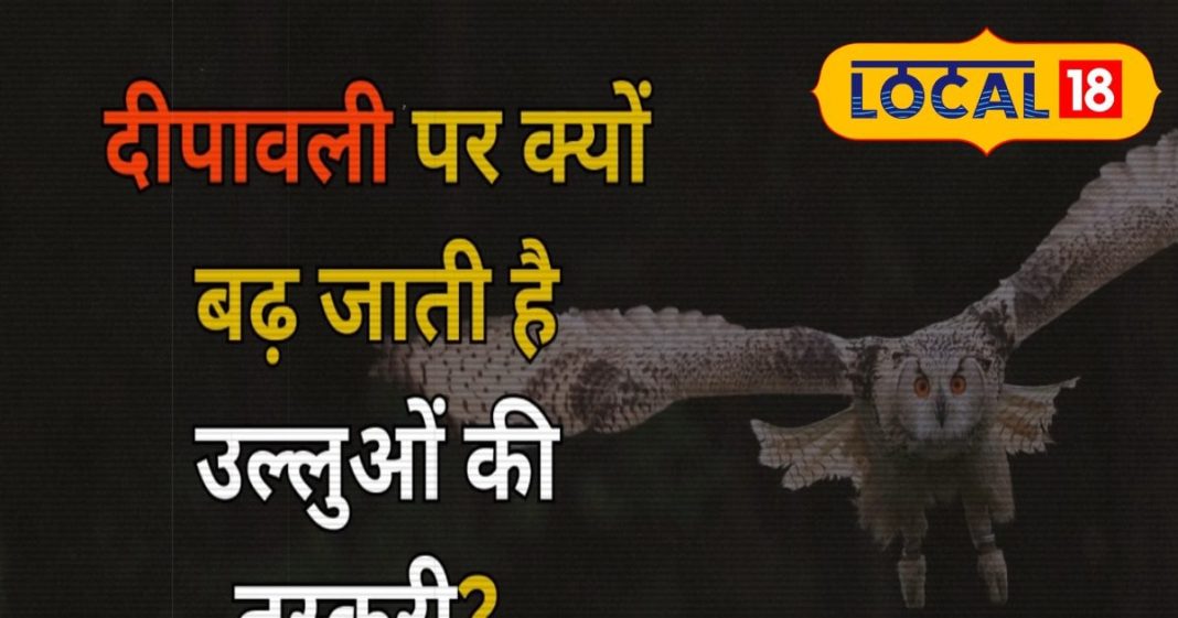 दिवाली पर क्यों बढ़ जाती है मां लक्ष्मी के वाहन की तस्करी? पहले से ही वन विभाग चौकन्ना