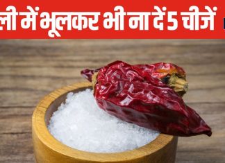 नमक बनाता है कर्जदार, दूसरों के हथेली में भूलकर भी ना रखें ये 5 चीजें, घर में हमेशा होगी कलह