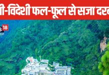 नवरात्रि में माता वैष्णो का अद्भुत सजा दरबार, मां के बाल स्वरूप ने मोह लिया मन, देश विदेश के फूलों से की सजावट