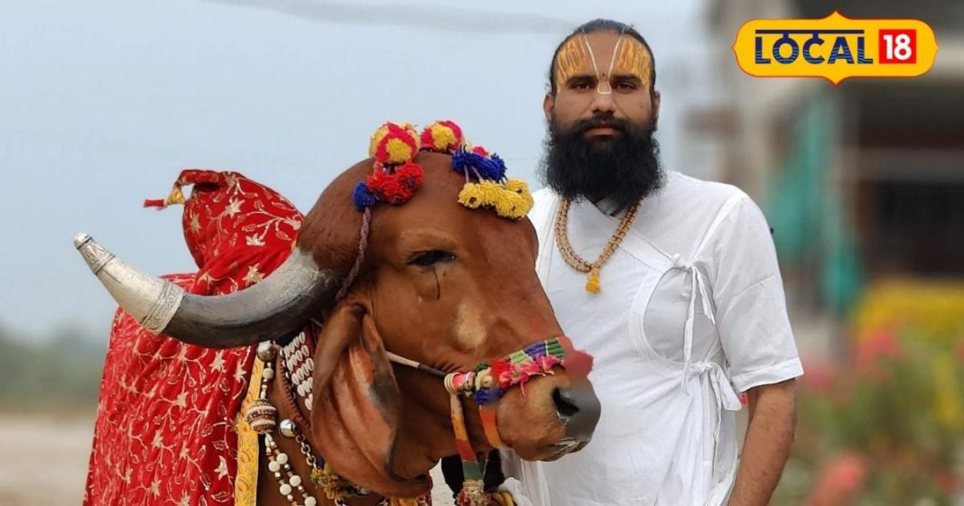 पूरे भारत में सिर्फ 2 ही ऐसी गाय हैं, शास्त्रों में भी जिक्र, सेवा करने से पूरे होते सभी काम