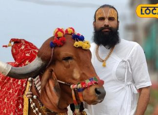 पूरे भारत में सिर्फ 2 ही ऐसी गाय हैं, शास्त्रों में भी जिक्र, सेवा करने से पूरे होते सभी काम