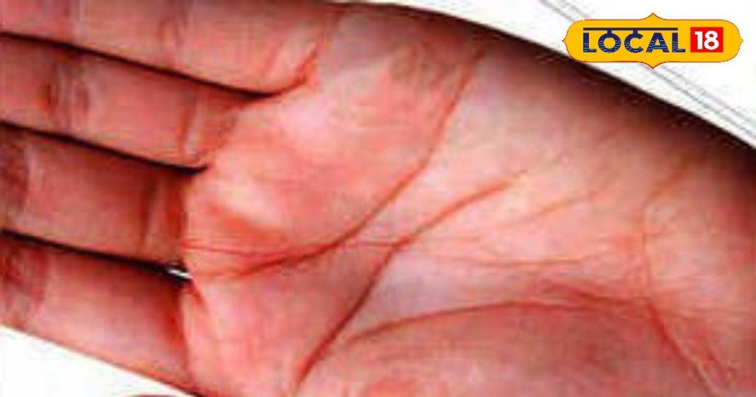 बदल सकती है हाथों में लिखी किस्मत! बस करना होगा यह काम; शनि-राहु भी भाग्य बदलने पर हो जाएंगे मजबूर